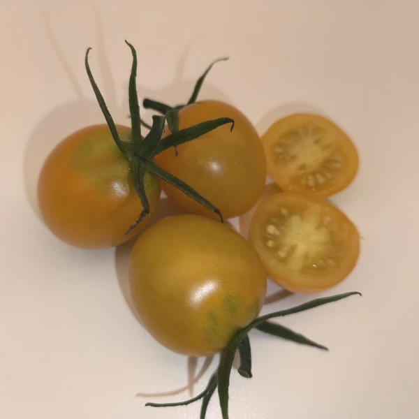 SUNLEMON