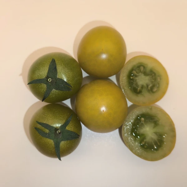 SUNGREEN