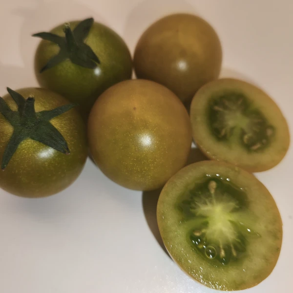 SUNGREEN