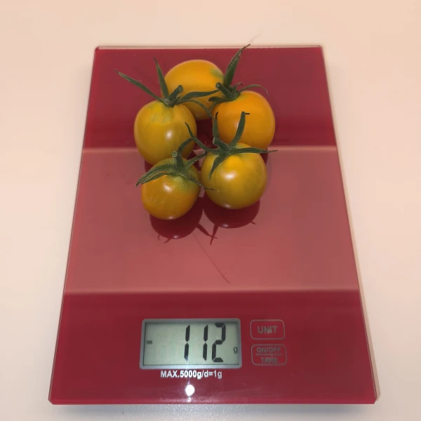 SUNLEMON