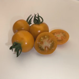 SUNGOLD