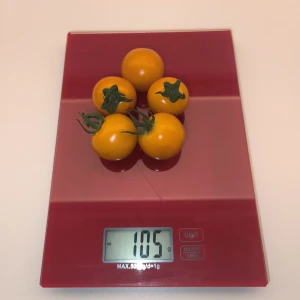 SUNGOLD