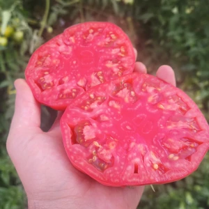 MARPINK