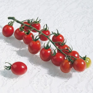 APERO