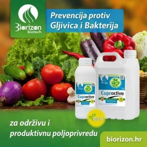 CUPRACTIVE