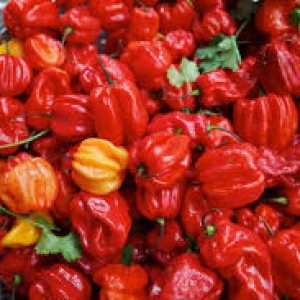 SCOTCH BONNET