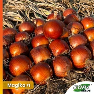 MAGIKA