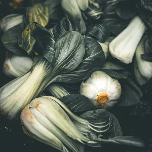 PAK CHOI