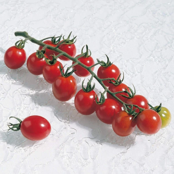 APERO