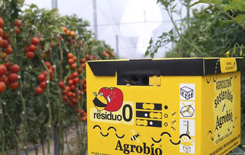 Bumbari i korisni kukci u povrtlarskoj proizvodnji