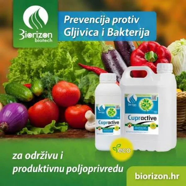 CUPRACTIVE