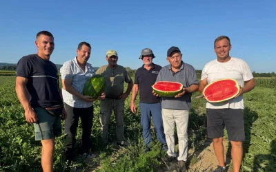 S kolegama iz Grčke u posjeti našim proizvođačima